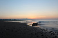 Dana Surf Guide Bali