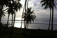 Dana Surf Guide Bali